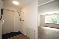 34-IMG_5553 (Groot).jpeg
